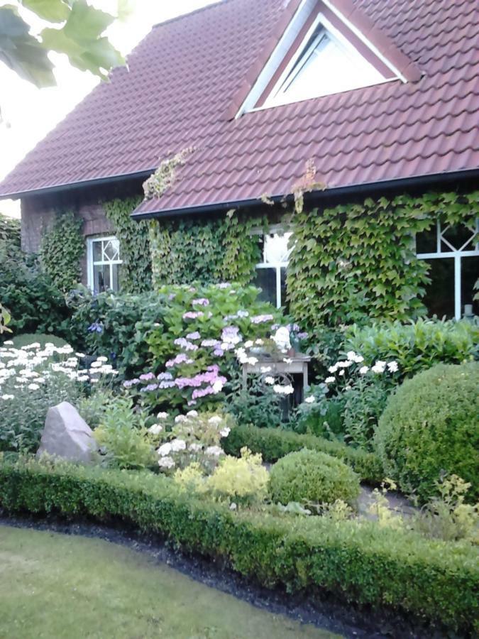 Ferienhaus Zaunkoenig Eversmeer المظهر الخارجي الصورة